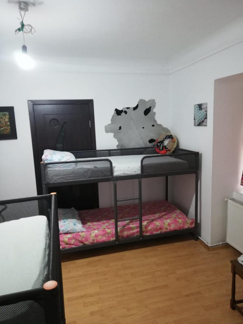 Leyla Hostel Брашов Экстерьер фото