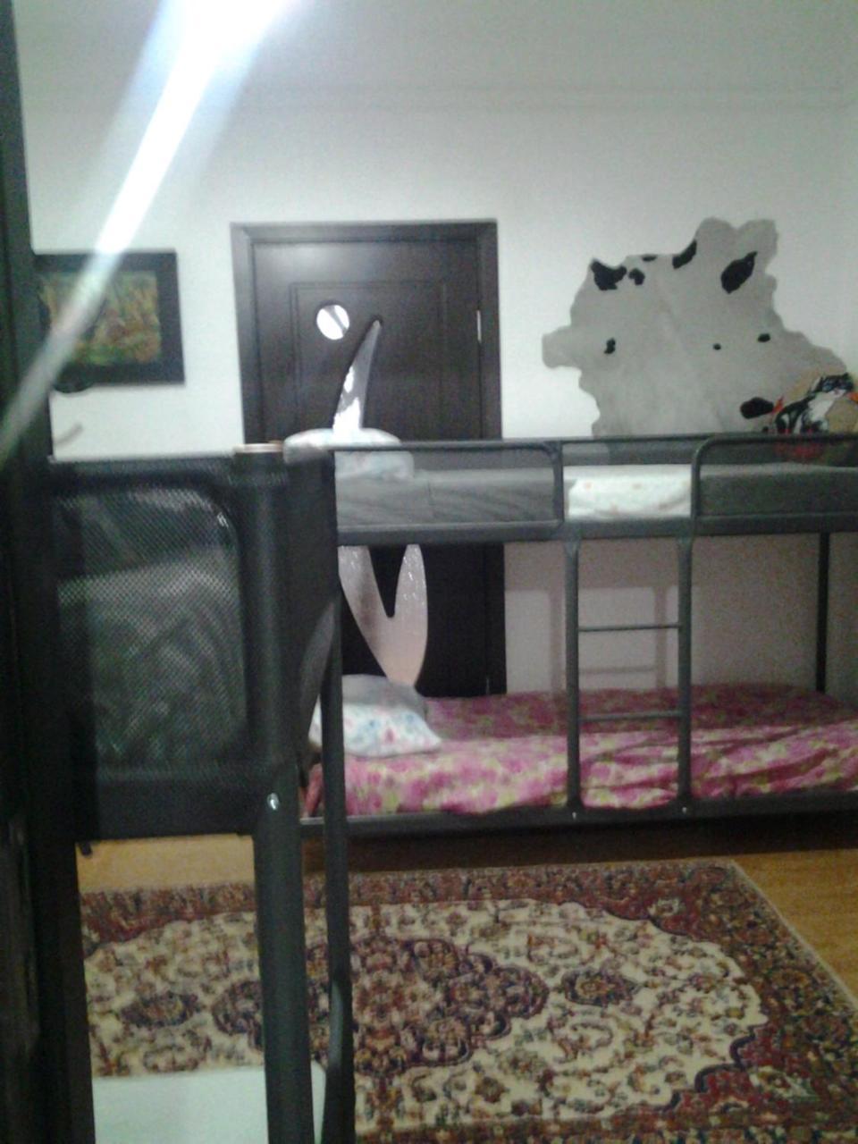 Leyla Hostel Брашов Экстерьер фото