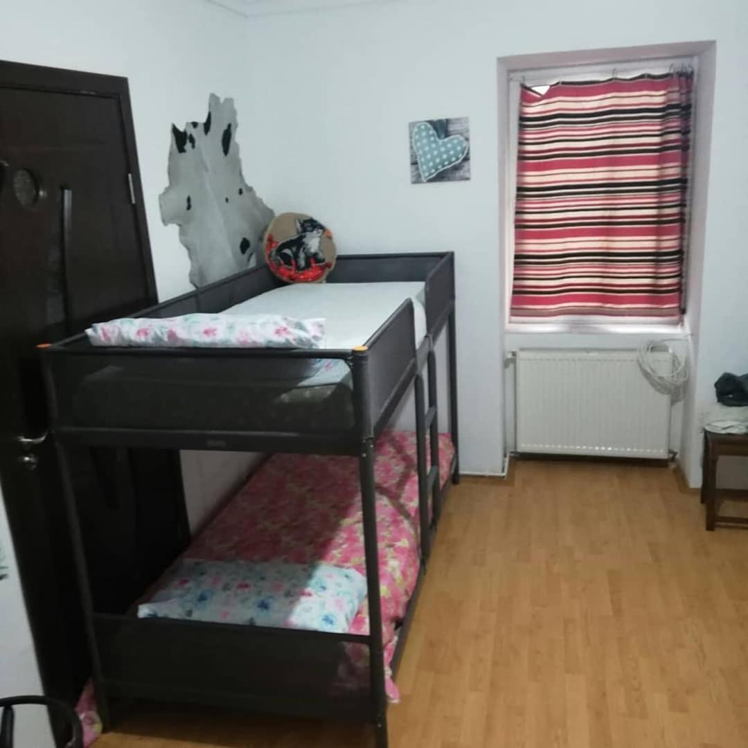 Leyla Hostel Брашов Экстерьер фото