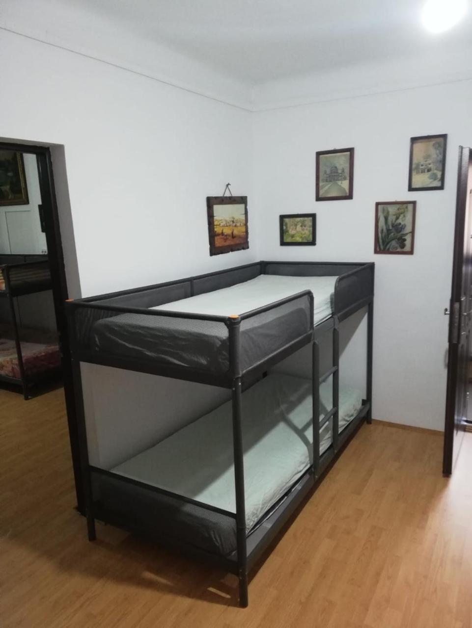 Leyla Hostel Брашов Экстерьер фото