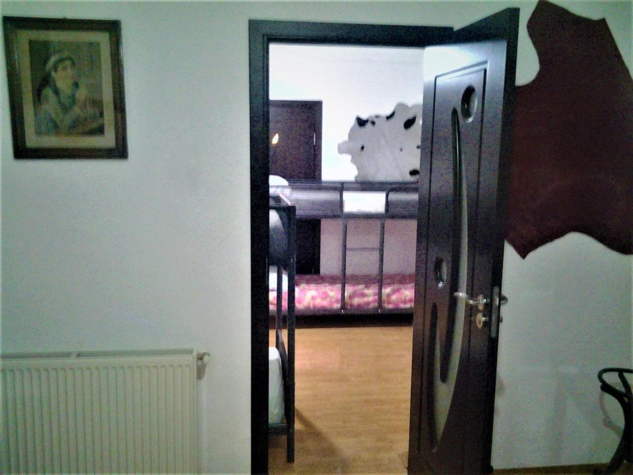 Leyla Hostel Брашов Экстерьер фото