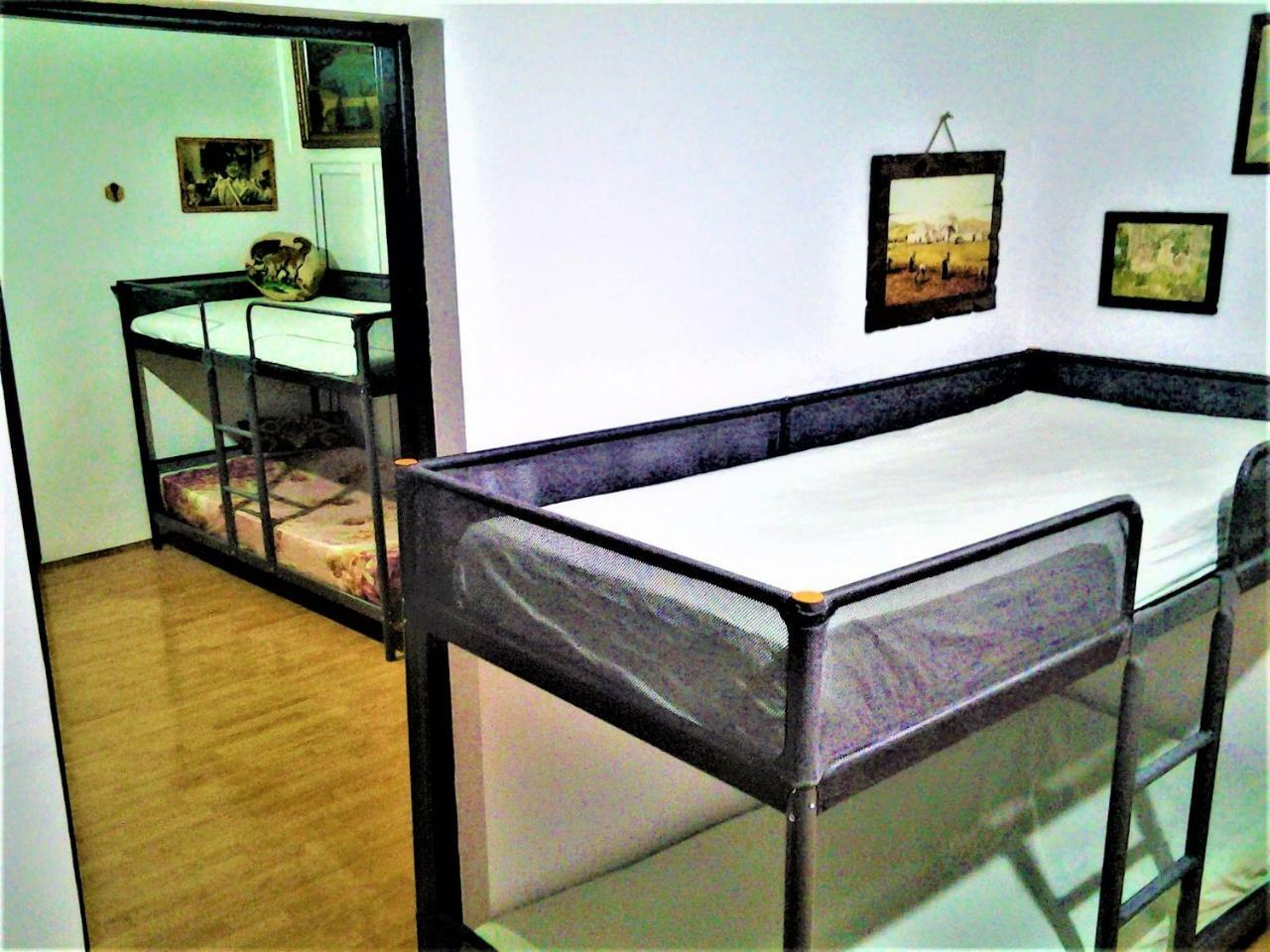 Leyla Hostel Брашов Экстерьер фото