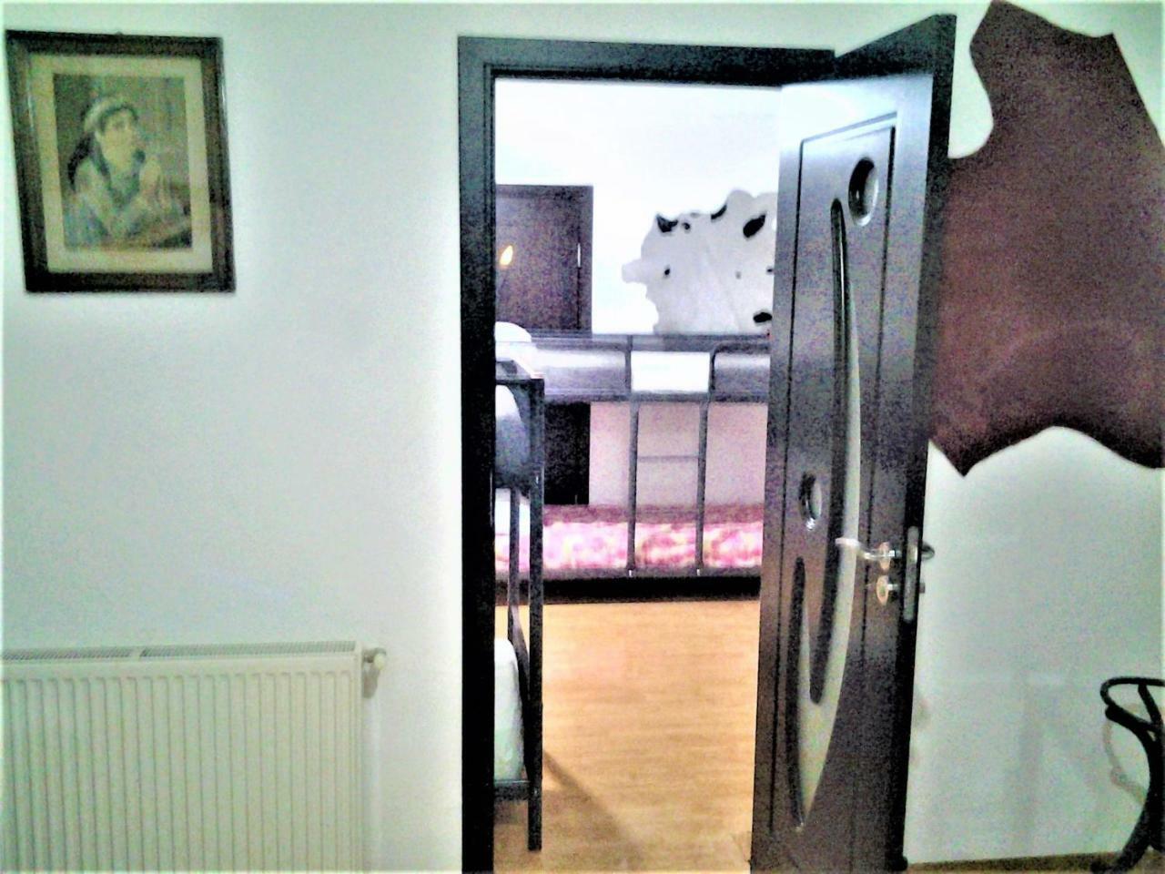 Leyla Hostel Брашов Экстерьер фото